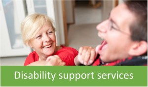Disability support services